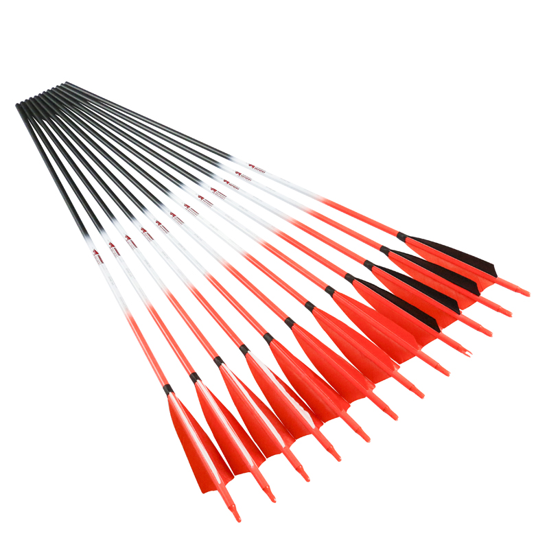 Linkboy Tiro con l'arco Frecce - Arrow Carbon Shaft recensione e prezzo